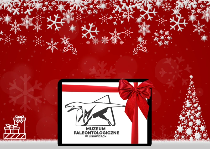 27 i 31 grudnia muzeum będzie nieczynne